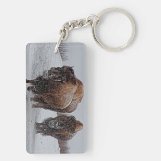 Yellowstone-Bison Schlüsselanhänger (Rückseite)