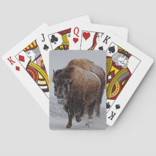 Yellowstone-Bison Spielkarten