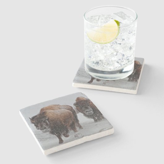 Yellowstone-Bison Steinuntersetzer (Seitenansicht)