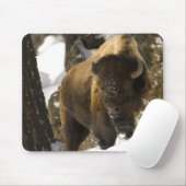 Yellowstone-Bison Stier im Winter - besonders Mousepad (Mit Mouse)
