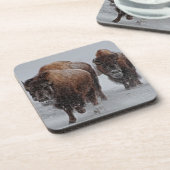 Yellowstone-Bison Untersetzer (Linke Seite)