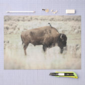 Yellowstone-Bisons mit Vogel Seidenpapier (Handwerk)