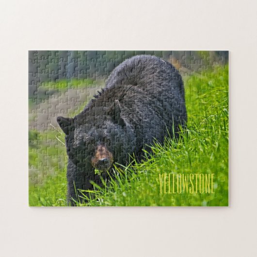 Yellowstone Black Bar Game Puzzle (Horizontal)
