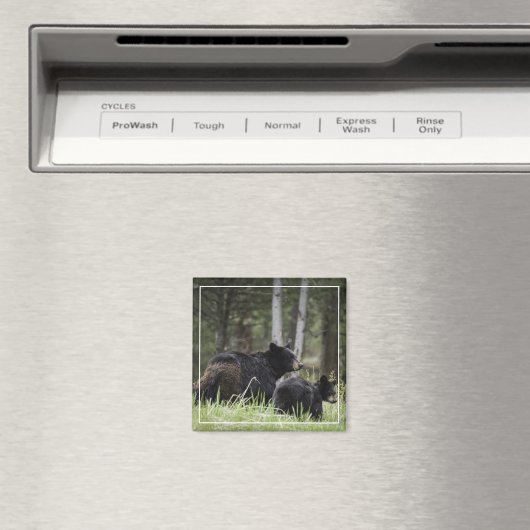 Yellowstone Black Bear Magnet (In Situ (Geschirrspüler))