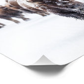 Yellowstone Buffalo Foto Print (Ecke)
