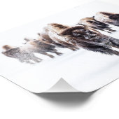 Yellowstone Buffalo Foto Print (Ecke)