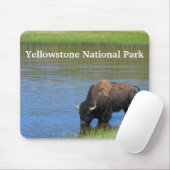 Yellowstone Buffalo im Teich Mousepad (Mit Mouse)