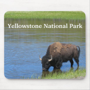 Yellowstone Buffalo im Teich Mousepad