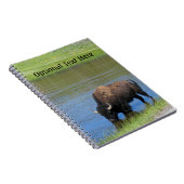 Yellowstone Buffalo Souvenir Notizblock (Rechte Seite)