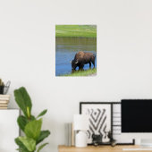 Yellowstone Buffalo Souvenir Poster (Heimbüro)