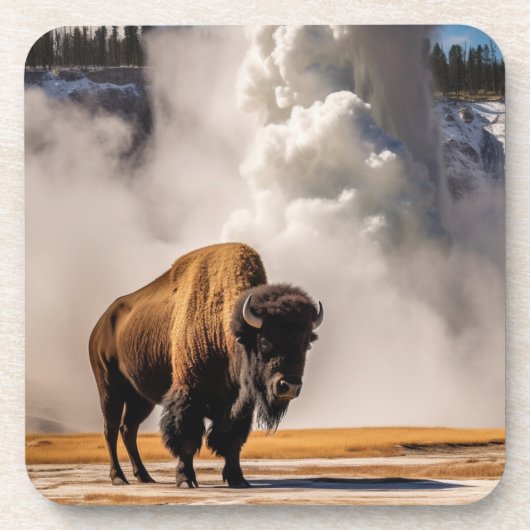 Yellowstone Buffalo Untersetzer Set (Vorderseite)