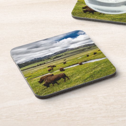 Yellowstone Buffalo Untersetzer Set (Linke Seite)