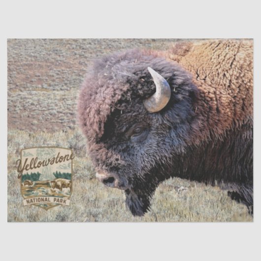 Yellowstone-Büffel mit Park-Logo Seidenpapier (Vorderseite)