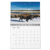 Yellowstone Calendar Kalender (Mär 2026)