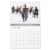 Yellowstone Calendar Kalender (Jan 2026)
