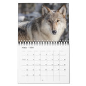 Yellowstone Calendar-Wildlife Calendar Kalender (Mär 2026)