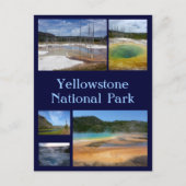 Yellowstone-Collage 1 Postkarte (Vorderseite)