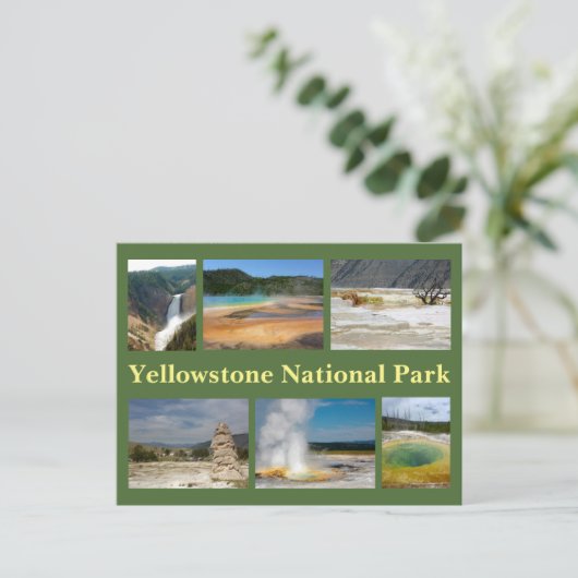Yellowstone Collage 2 Postkarte (Stehend Vorderseite)