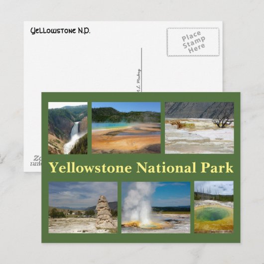 Yellowstone Collage 2 Postkarte (Vorne/Hinten)