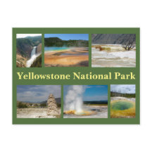 Yellowstone Collage 2