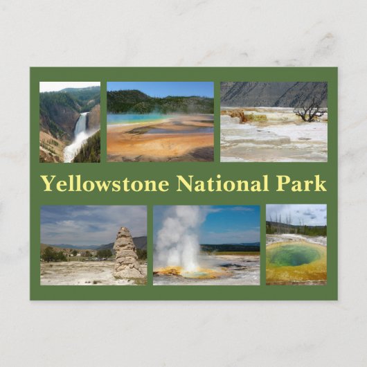 Yellowstone Collage 2 Postkarte (Vorderseite)