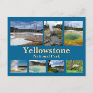 Yellowstone Collage 3 Postkarte
