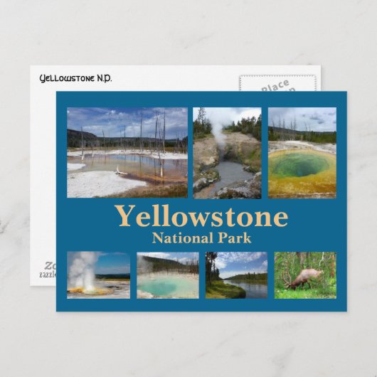 Yellowstone Collage 3 Postkarte (Vorne/Hinten)