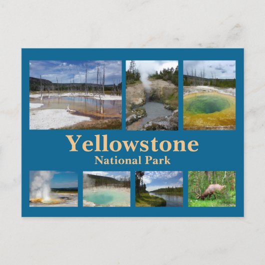 Yellowstone Collage 3 Postkarte (Vorderseite)