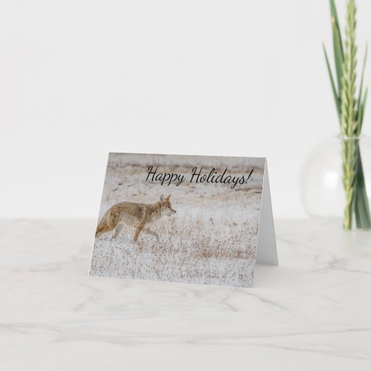 Yellowstone Coyote Greeting Card Karte (Vorderseite)