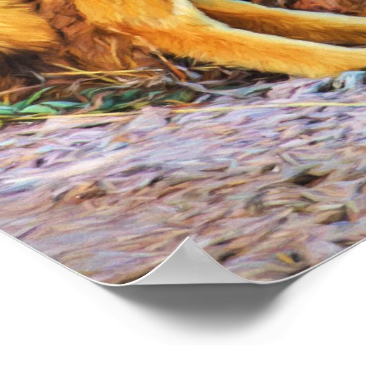 Yellowstone Coyote Poster (Ecke)