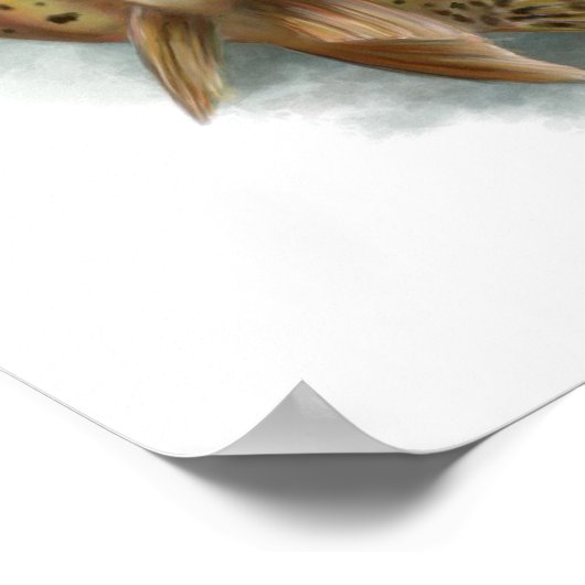 Yellowstone Cutthroat Trout Print Poster (Ecke)