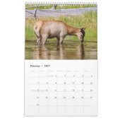 Yellowstone - ein ganz besonderer Ort Kalender (Feb 2027)