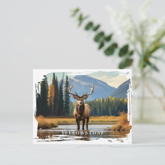 Yellowstone Elche Postcard Postkarte (Stehend Vorderseite)