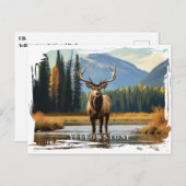 Yellowstone Elche Postcard Postkarte (Vorne/Hinten)