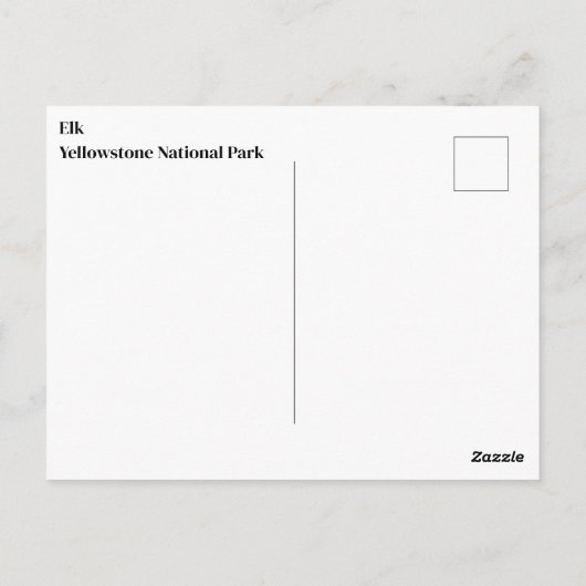 Yellowstone Elche Postcard Postkarte (Rückseite)