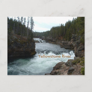 Yellowstone Fluss Postcard Postkarte