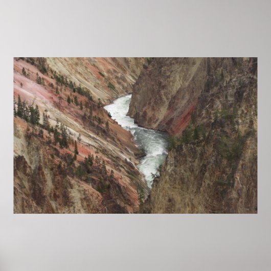 Yellowstone-Fluss Poster (Vorne)