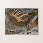 Yellowstone Game Puzzle (Horizontal)