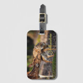 Yellowstone Gepäckmarke-Deer & Baby Fawn Gepäckanhänger (Vorderseite Vertikal)