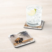 Yellowstone Geyser Bison Beverage Coaster Getränkeuntersetzer (Rechte Seite)