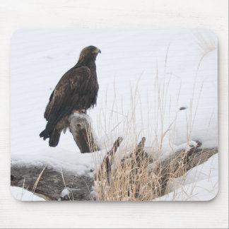 Yellowstone goldenes Eagle Mousepad