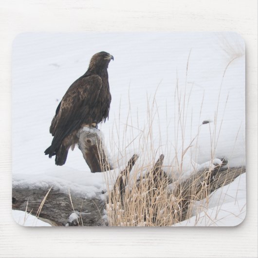 Yellowstone goldenes Eagle Mousepad (Vorne)