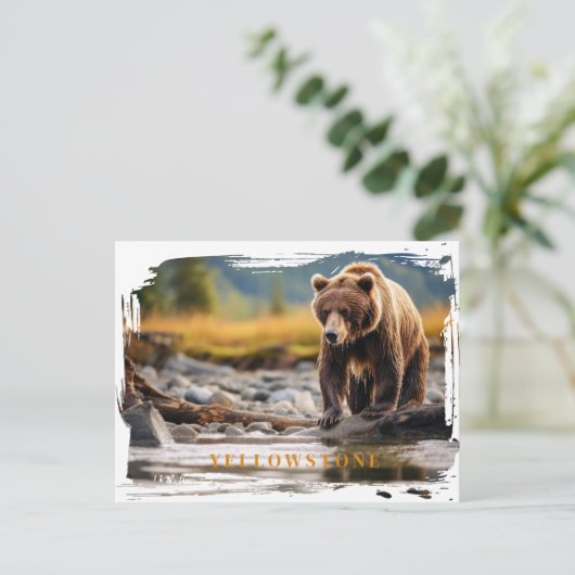 Yellowstone Grizzly Bär Postcard Postkarte (Stehend Vorderseite)
