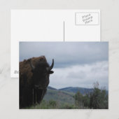 Yellowstone Guardian Postkarte (Vorne/Hinten)