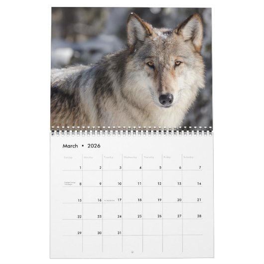 Yellowstone Kalender der wild lebenden Tierarten (Mär 2026)