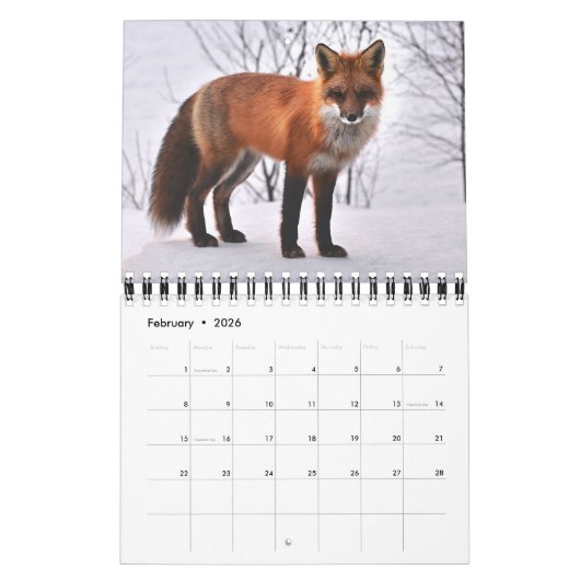 Yellowstone Kalender der wild lebenden Tierarten (Feb 2026)
