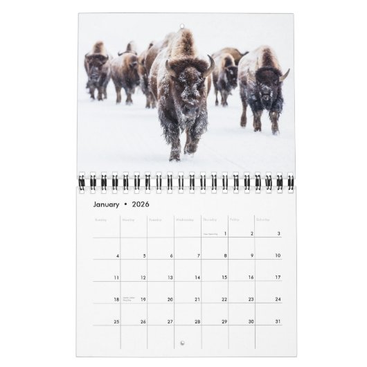Yellowstone-Kalender Kalender (Jan 2026)