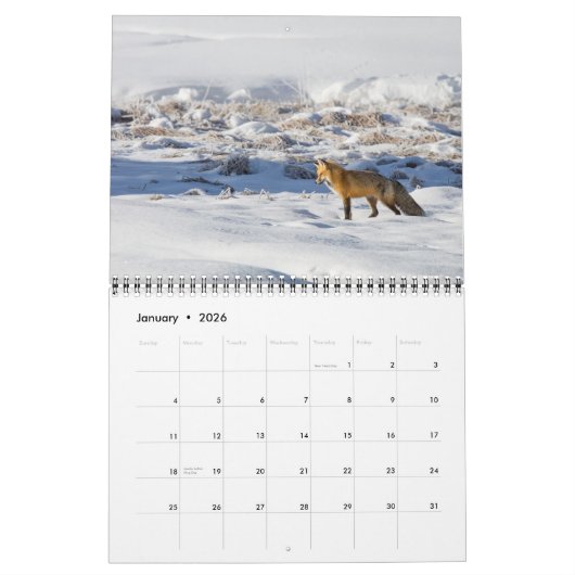 Yellowstone-Kalender Kalender (Jan 2026)