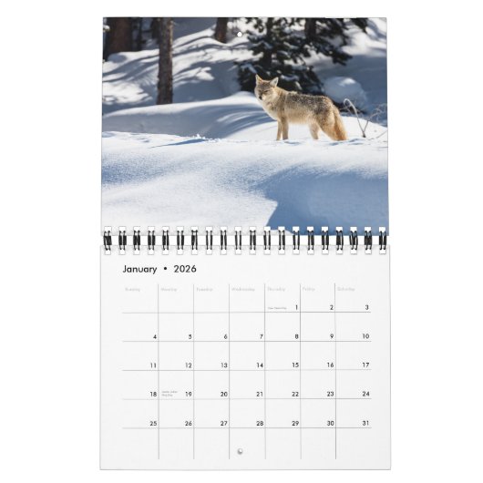 Yellowstone-Kalender Kalender (Jan 2026)