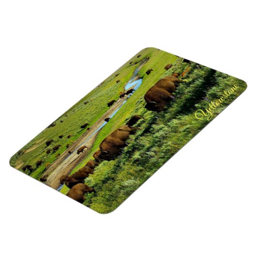 Yellowstone Magnet (Linke Seite)